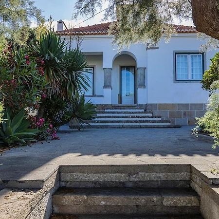 הוילה Challet אריסרייה מראה חיצוני תמונה