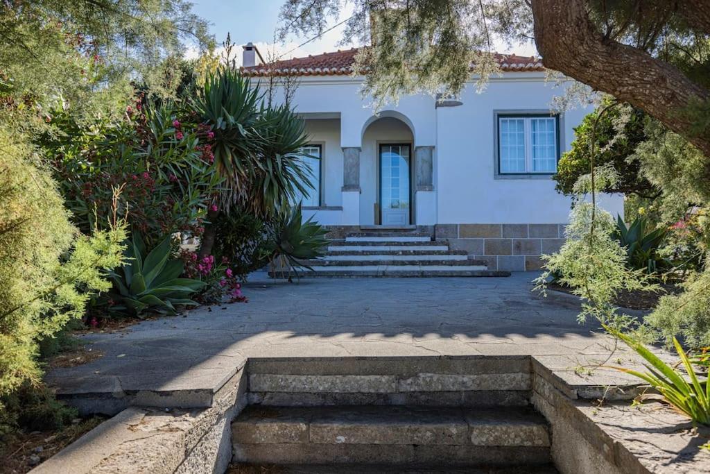 הוילה Challet אריסרייה מראה חיצוני תמונה