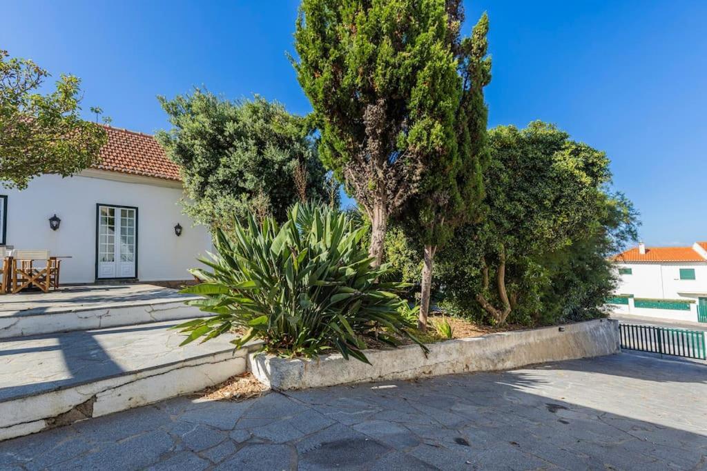 הוילה Challet אריסרייה מראה חיצוני תמונה